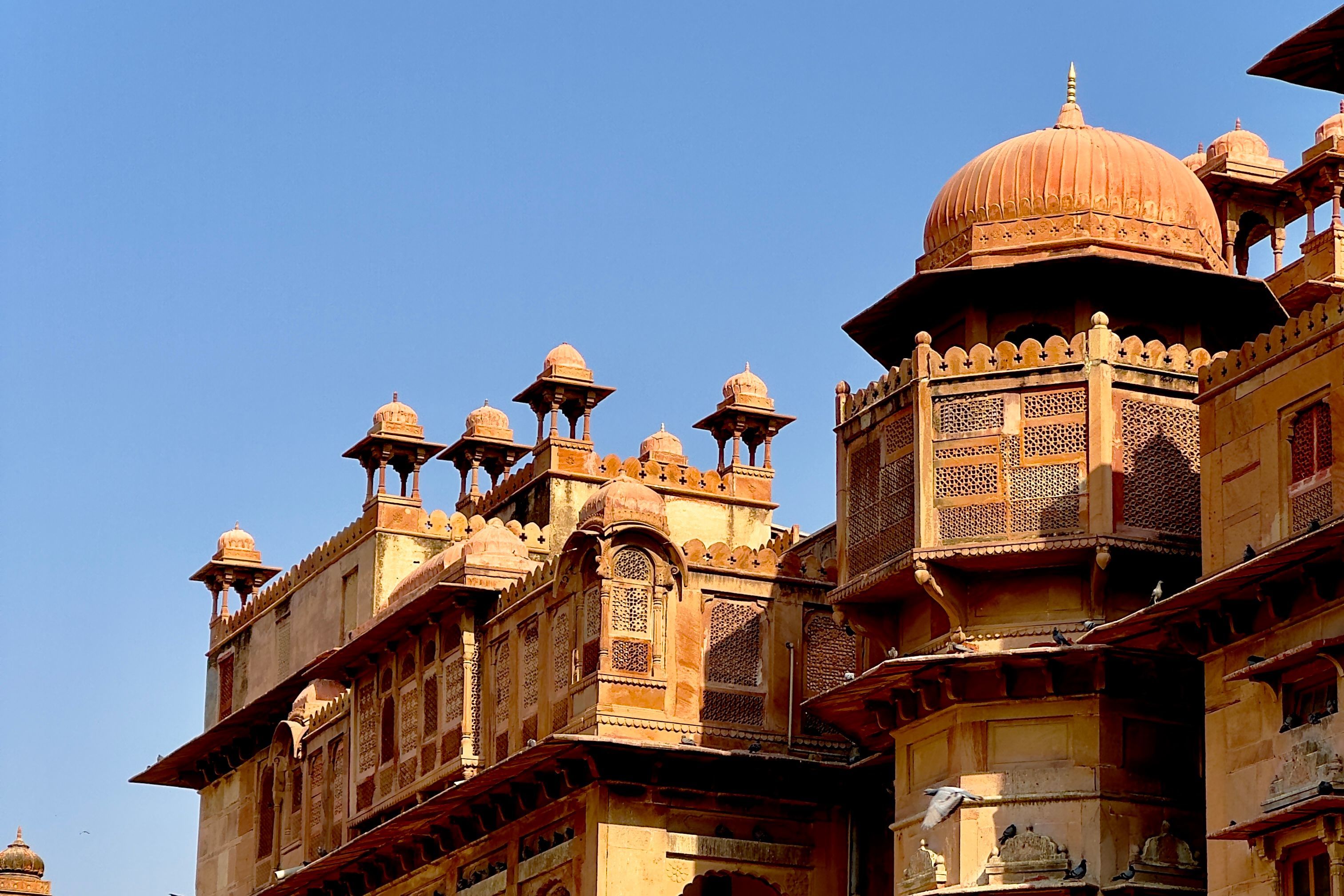 architectural detail of the junagarh fort in bikaner rajasthan