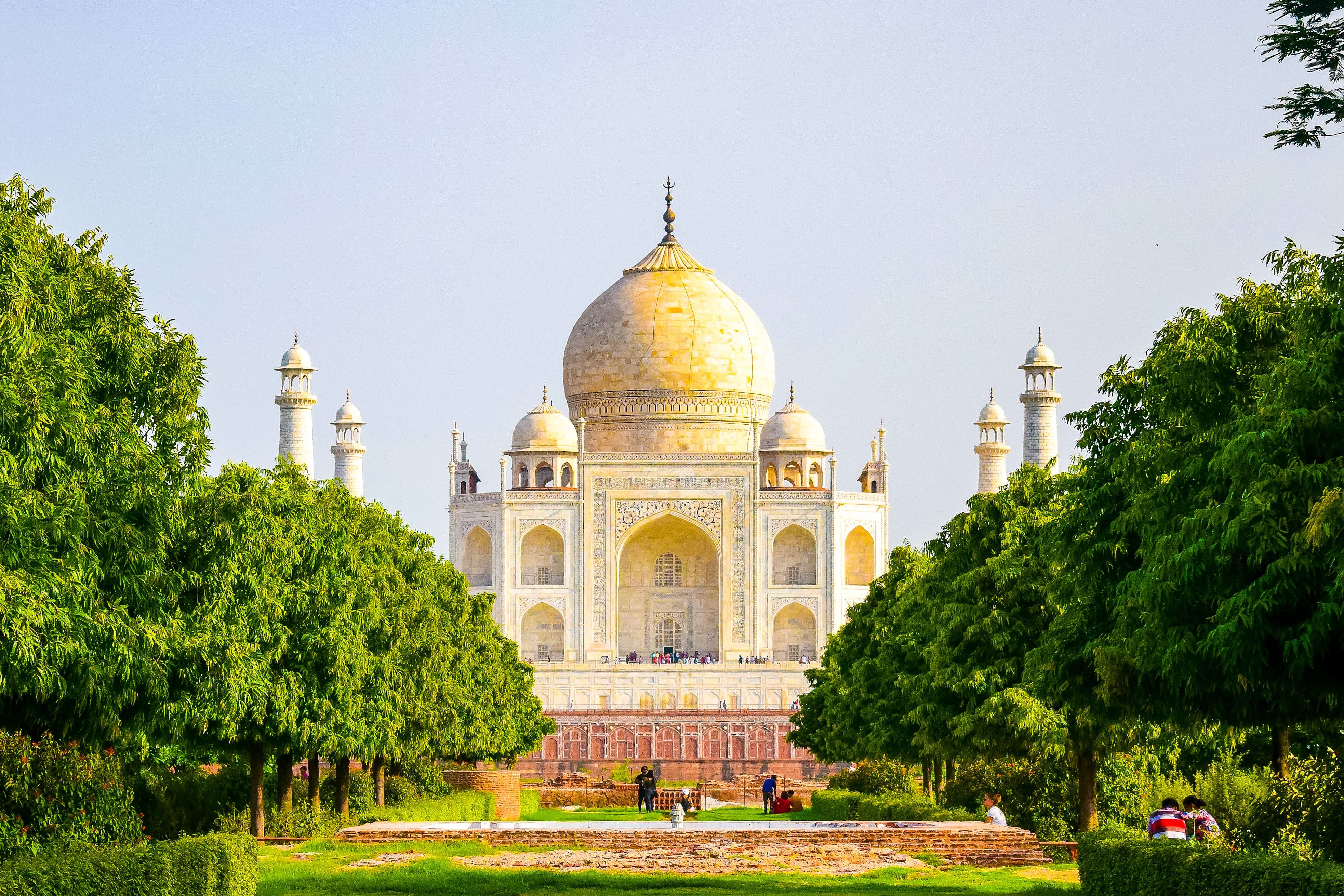 stunning view of the taj mahal surrounded by lush greenary on a bright summer day