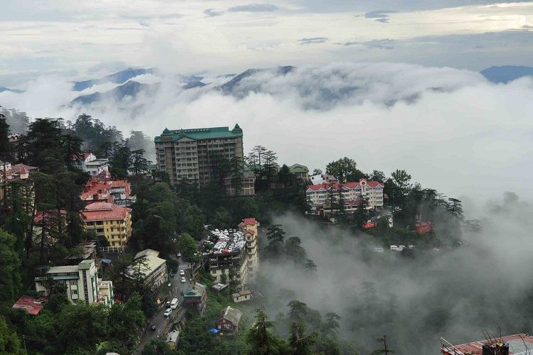houses surrounded by pine trees with mountain covered with fog in the backdrop in summer hill near shimla