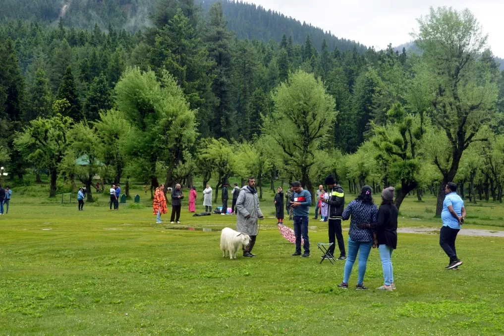 tourists at betaab valley in pahalgam