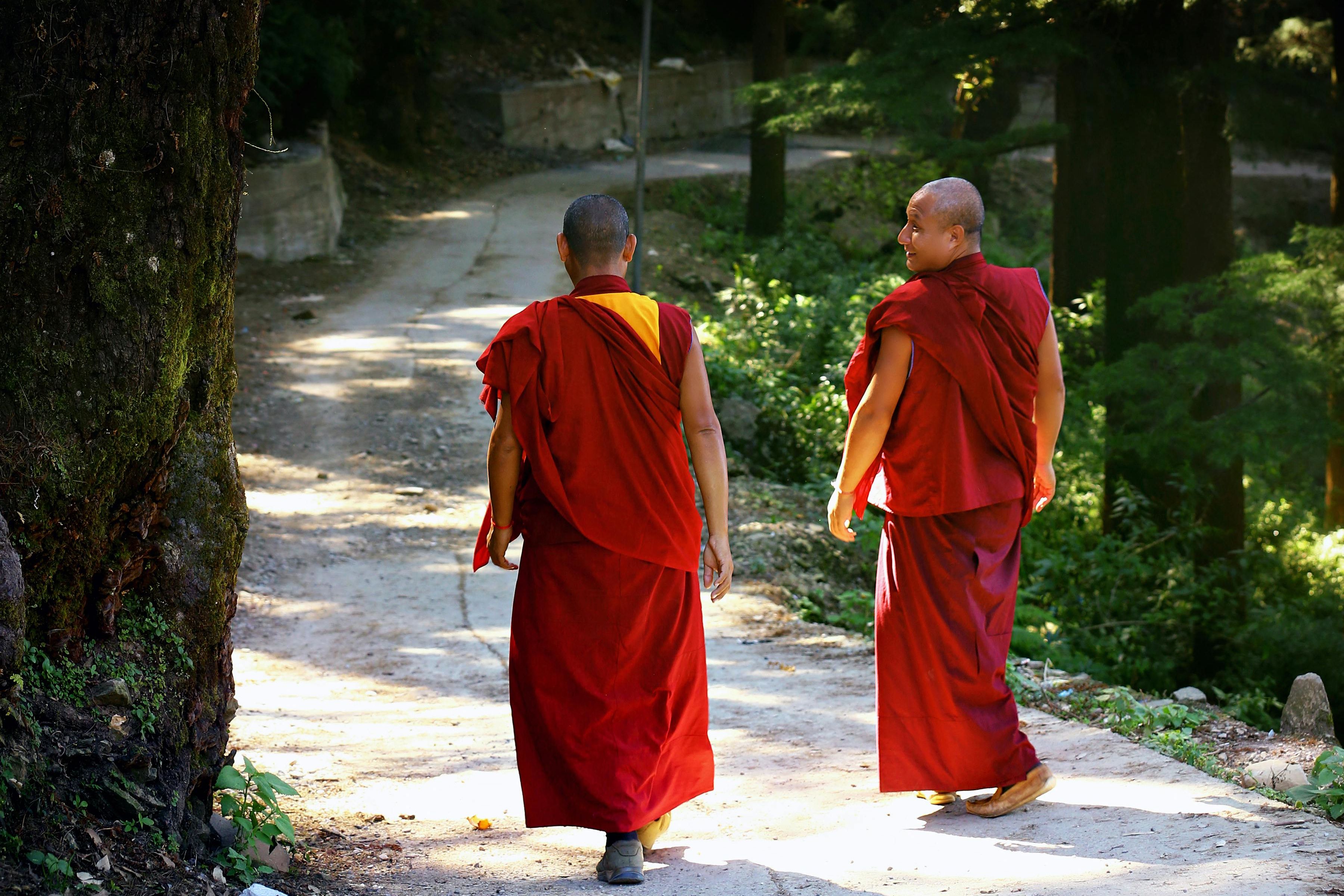 two monks walking on a trail lined with trees