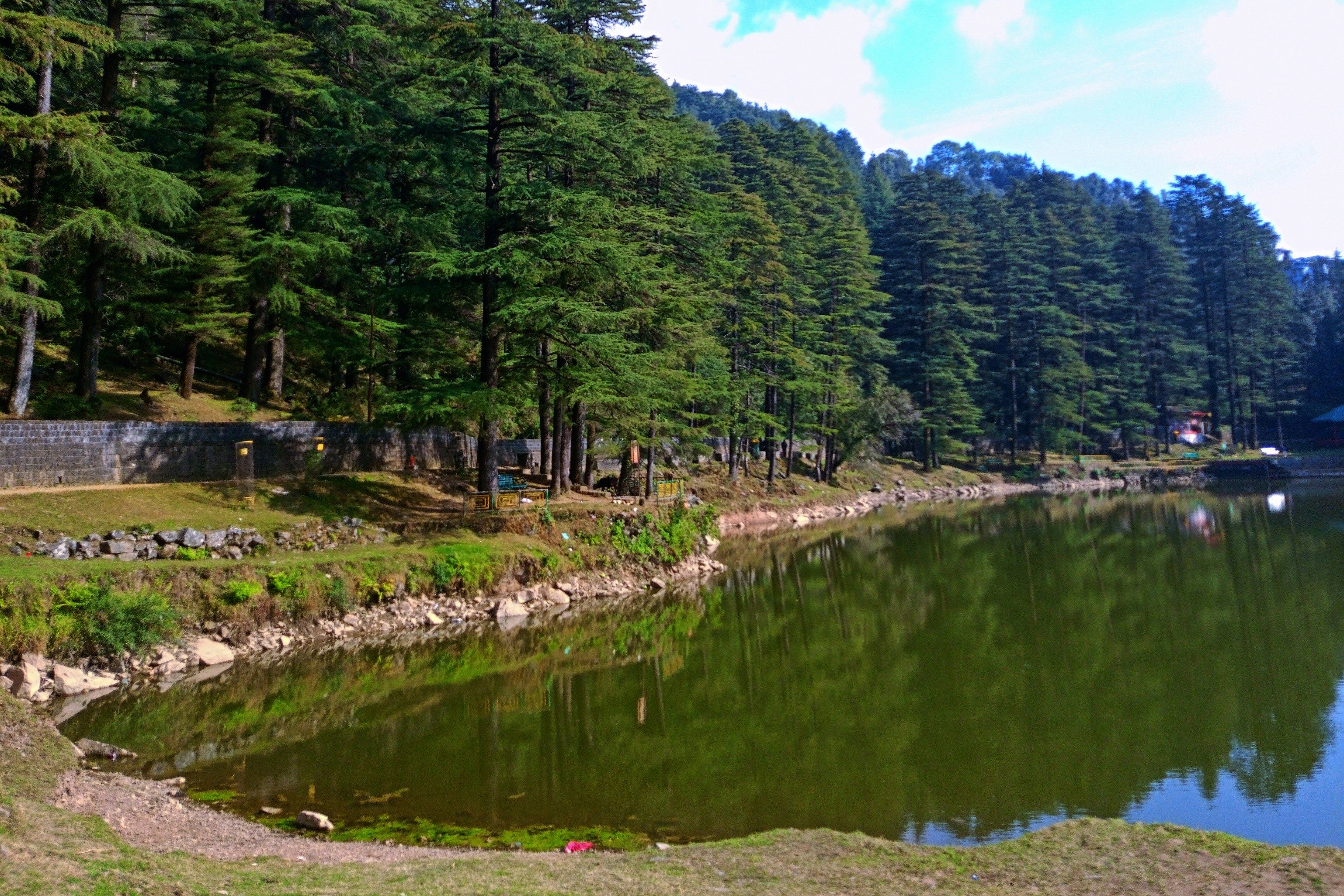 view of dal lake in dharamshala surrounded by green pine trees