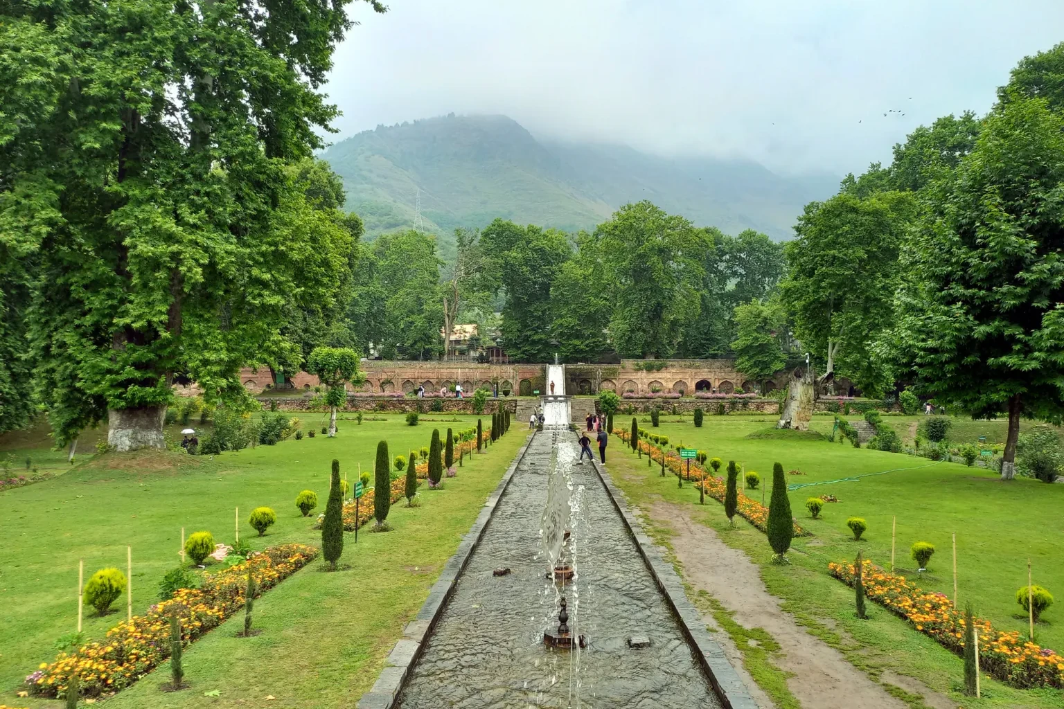 view of green trees at nishat bagh in srinagar