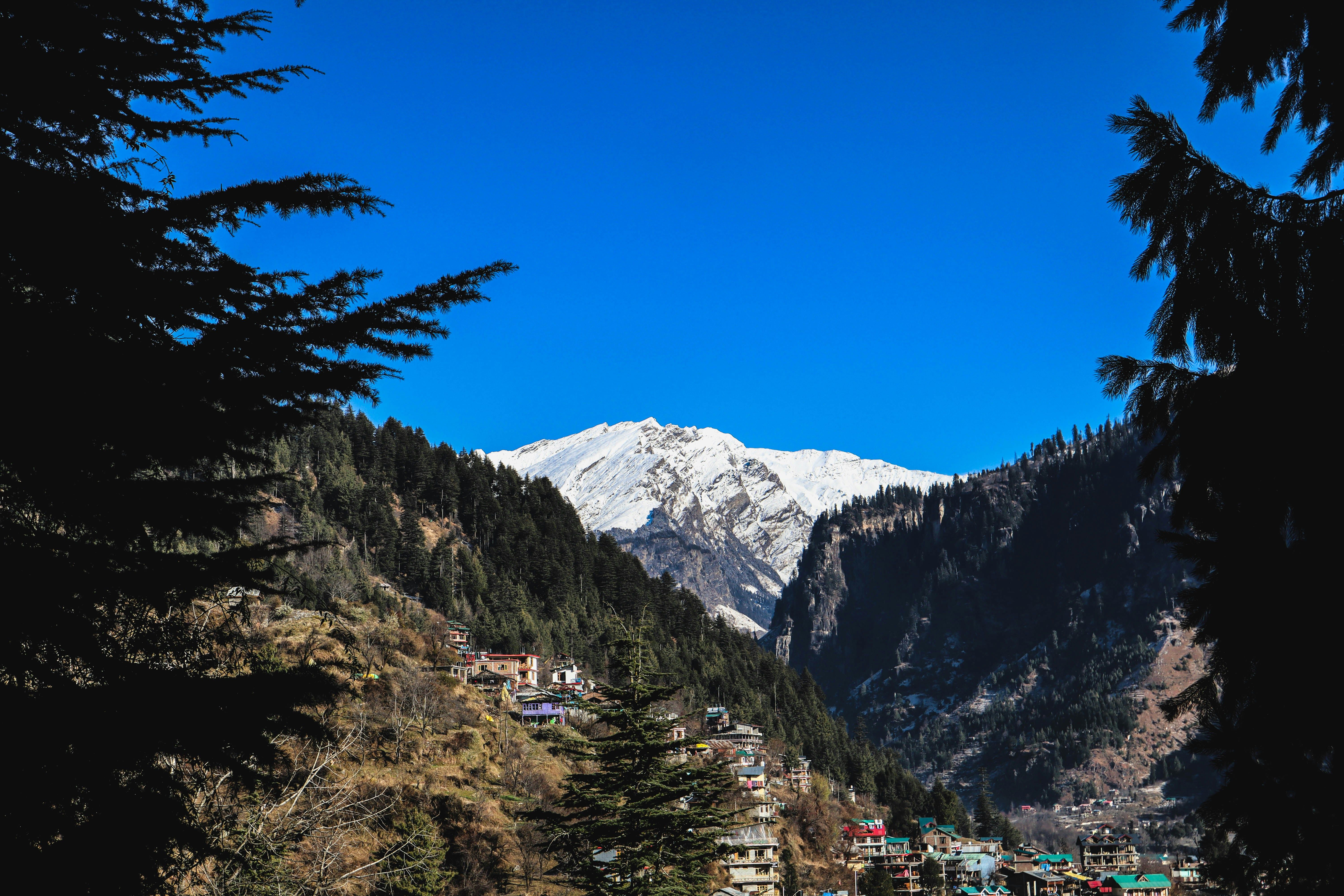 view of houses and trees with snow covered mountains in manali during daytime
