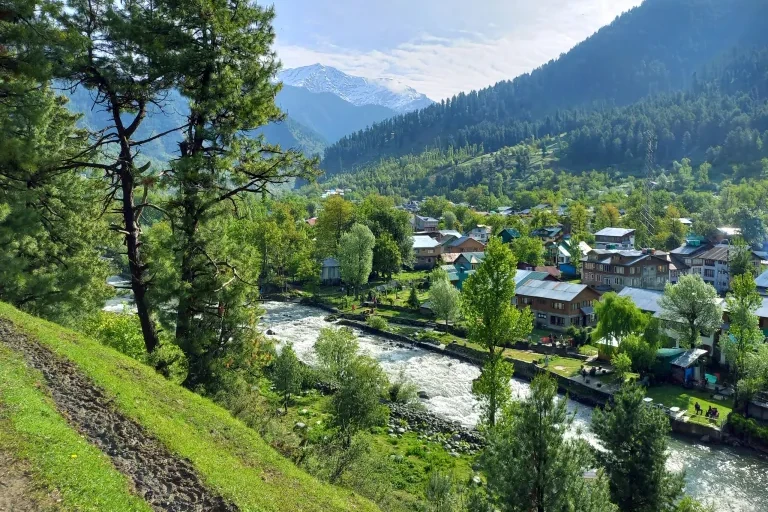 view of houses besides lidder river and pine trees in pahalgam