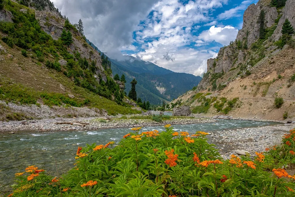 view of river flowing through gurez valley in kashmir