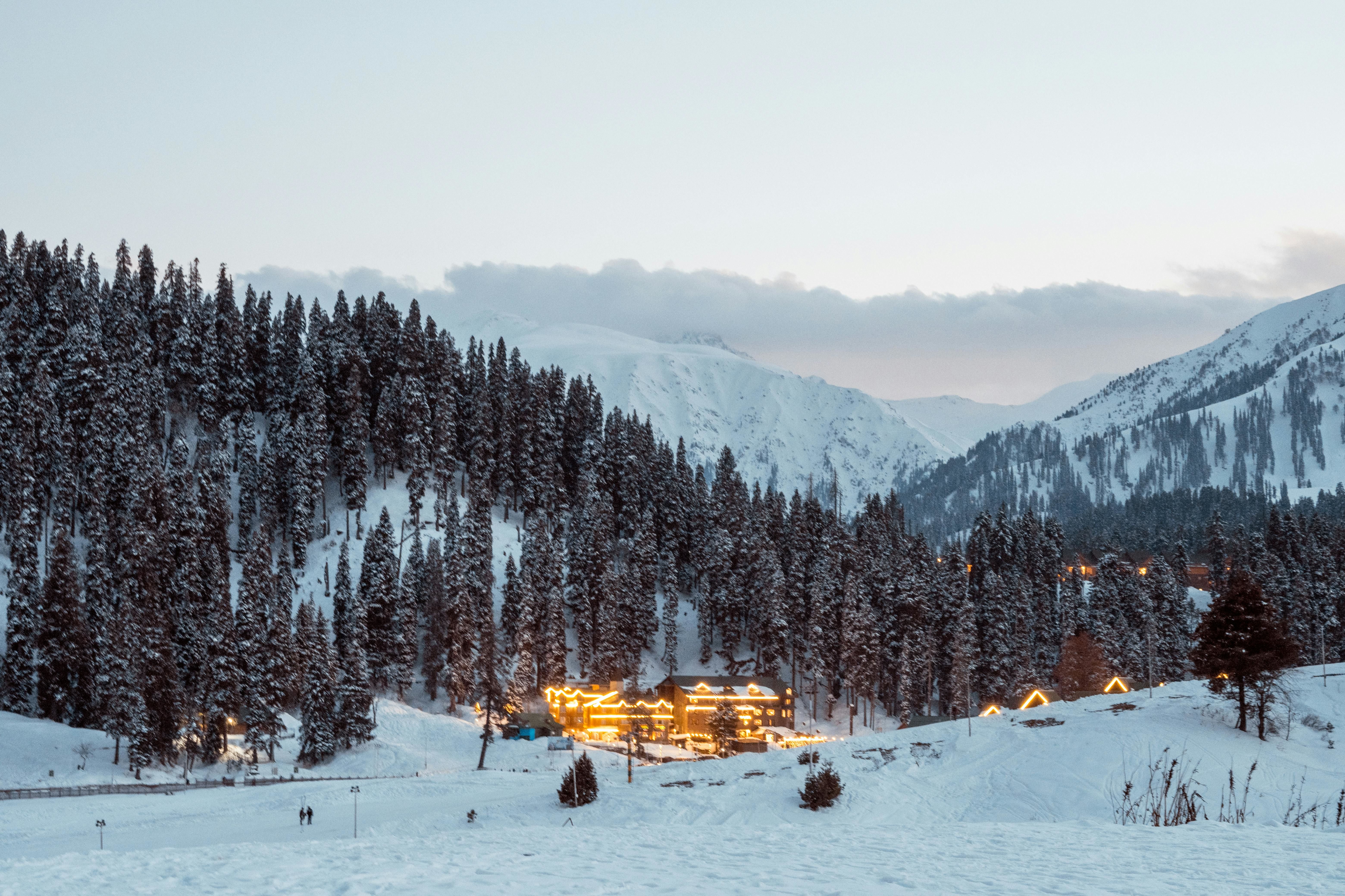 a scenic view of snow covered mountain and pine trees in gulmarg