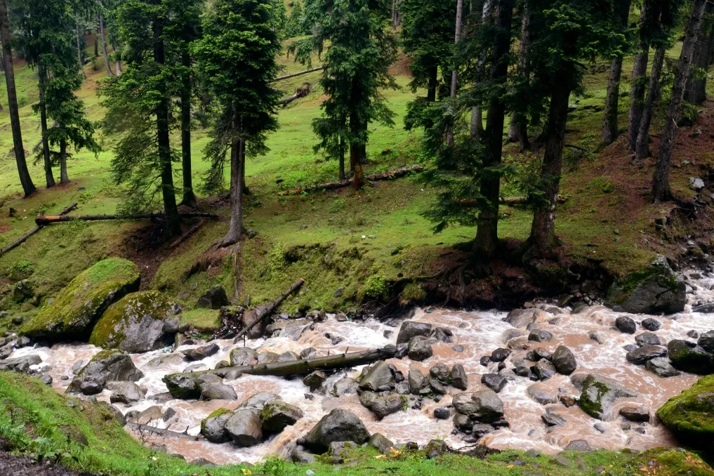 view of stream near pine trees at yushmarg